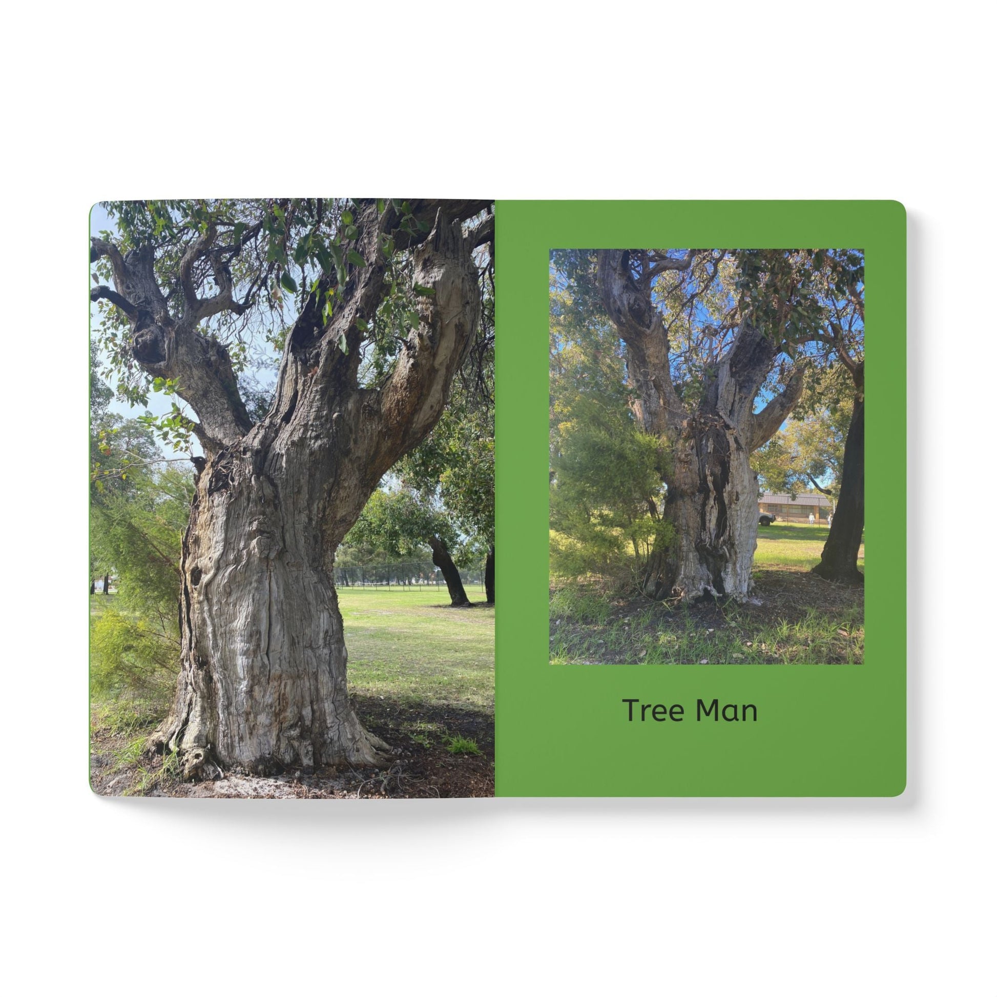 Tree Man Softcover Journal (with Inside Prints) 100 pages (50 sheets) / Ruled line / 5.75’’ x 8’’ Paper products
