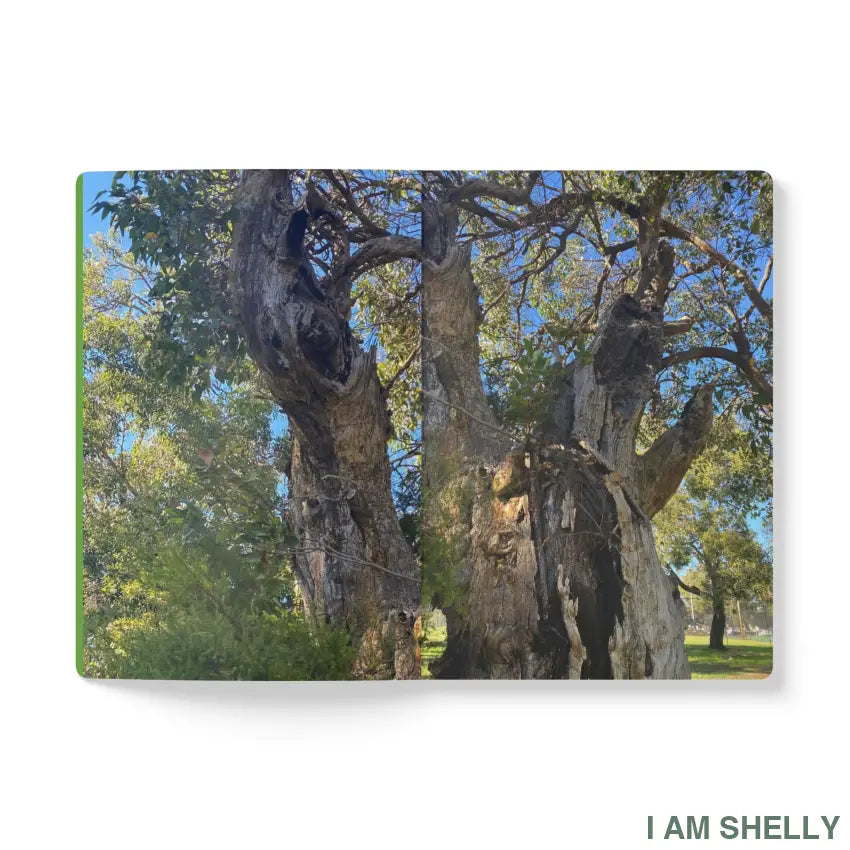 Tree Man Softcover Journal (with Inside Prints) 100 pages (50 sheets) / Ruled line / 5.75’’ x 8’’ Paper products